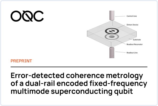 Error-detected coherence metrology of a dual-rail encoded fixed-frequency multimode superconducting qubit